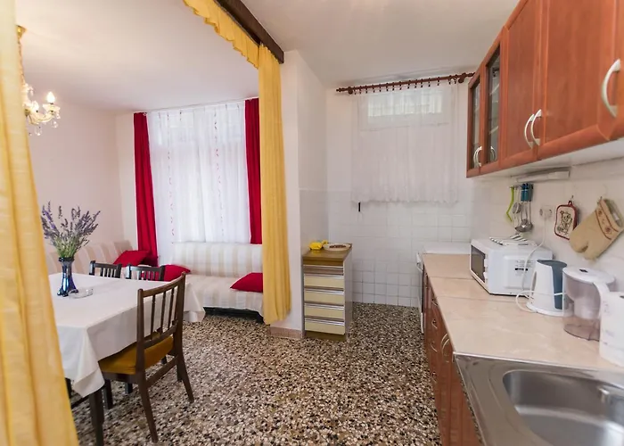 Anka 프리모스턴