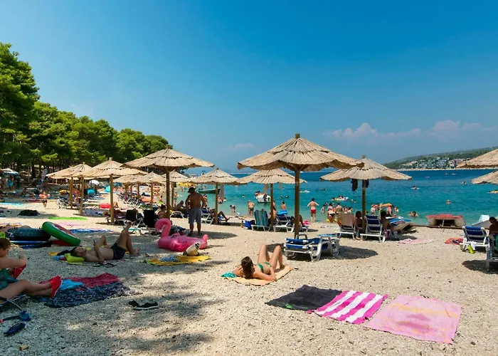 Anka * 프리모스턴